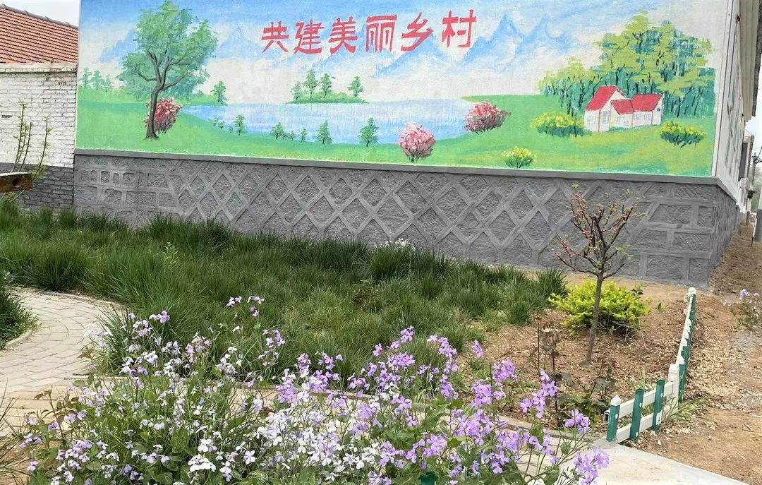 “植”此青绿，大家洼街道绘就生态底色