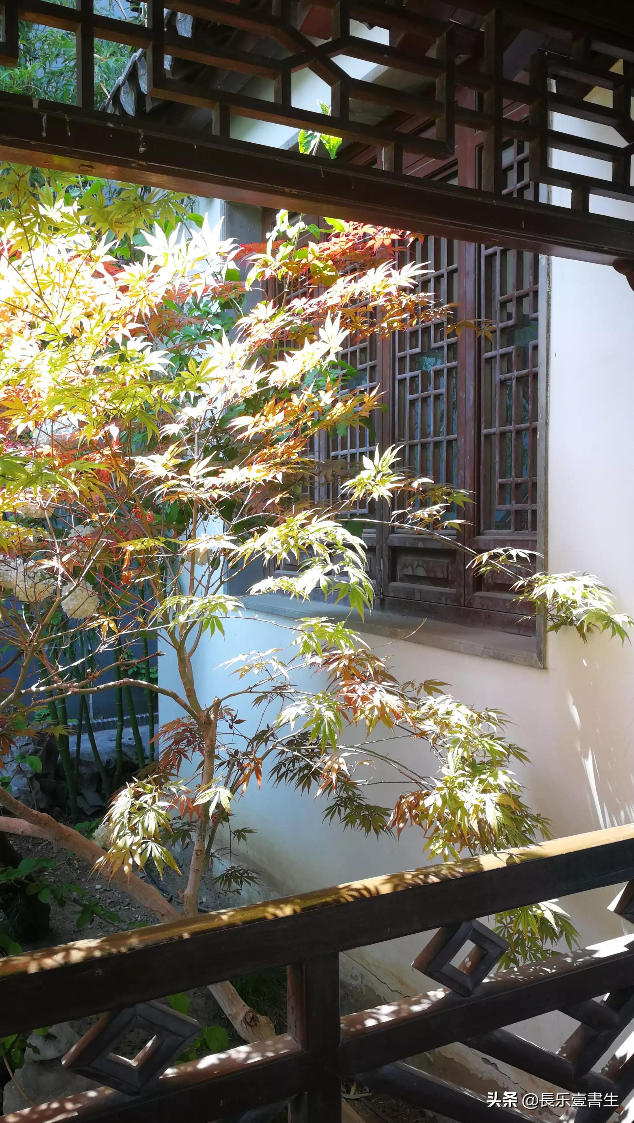 中国园林博物馆游览时间表,小众游玩强烈推荐北京园林博物馆