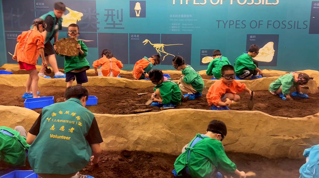 上海自然博物馆隐藏打卡,探秘上海隐秘地