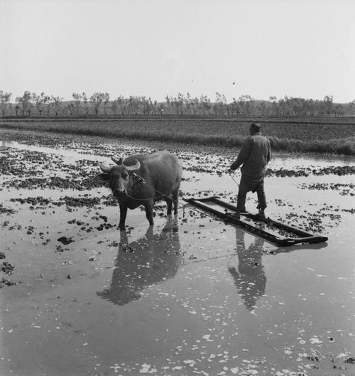 河南老汉带领全村制假致富,制假小作坊年赚百万