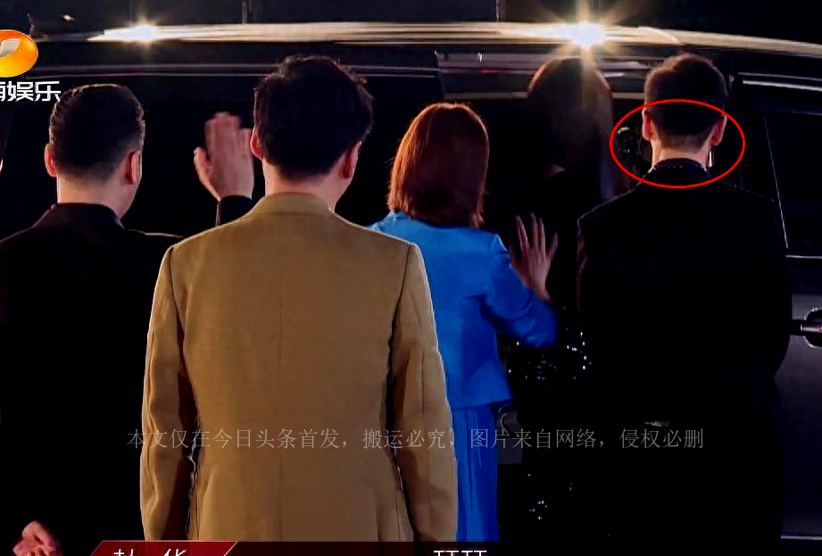 秃头潘玮柏,明星是怎么解决脱发的