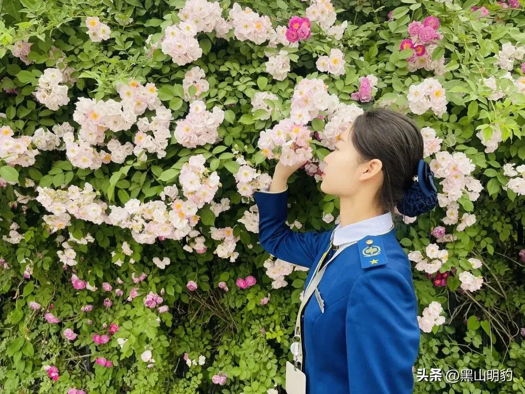 详细交通旅游攻略,公共交通自由行旅游攻略