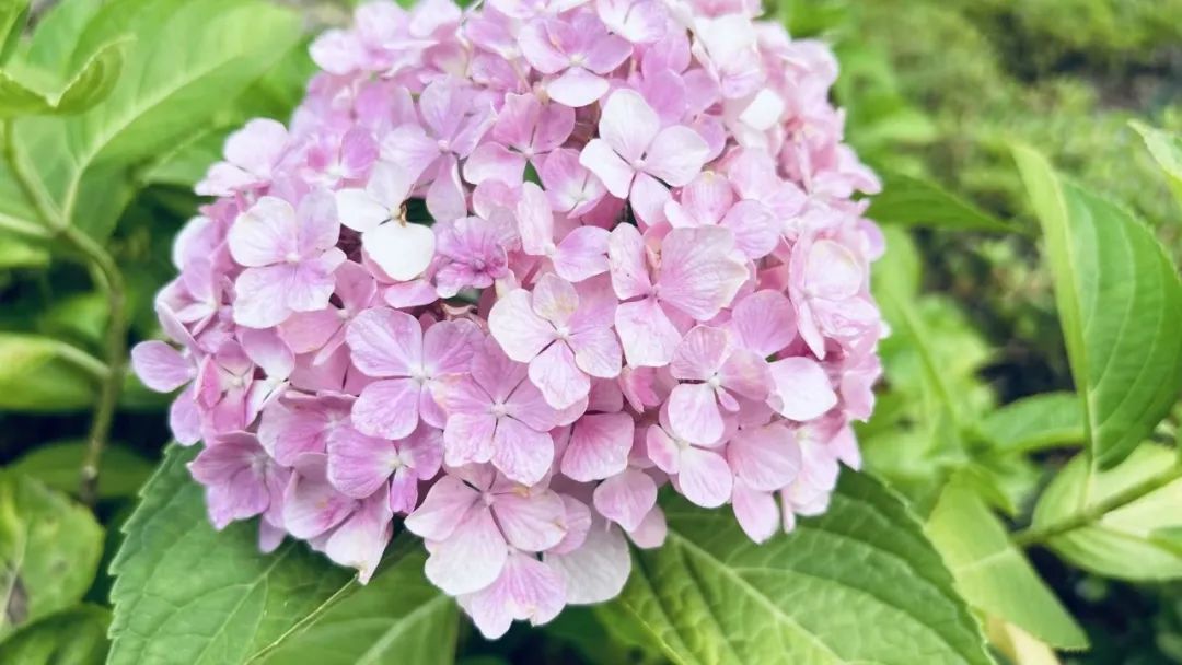 一个男人爱不爱你从细节看得出来,从吃饭看出男人对你爱不爱的表现