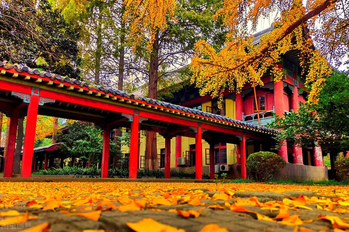 教师教学特色展示,名师教学的秘诀