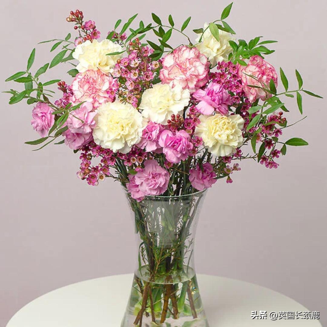 全英线上订花攻略：情人节限定fafa～爱你的心用花表示！