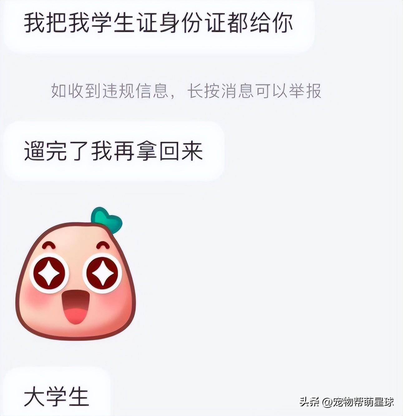 铲屎官的开心,开心快乐的铲屎官