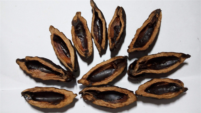 槟榔的危害到底有多大图,槟榔的危害和后果有多严重