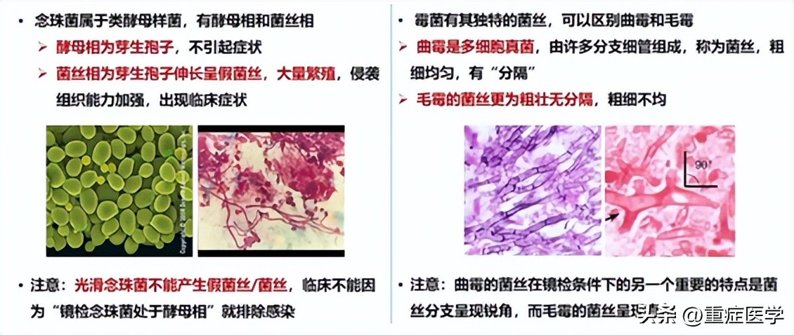 施毅最新讲座视频,施毅医生怎么样