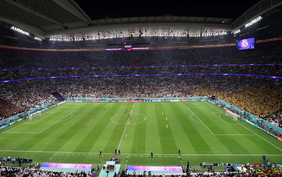 世界杯草坪建设过程,世界杯草坪是由哪个国家建造