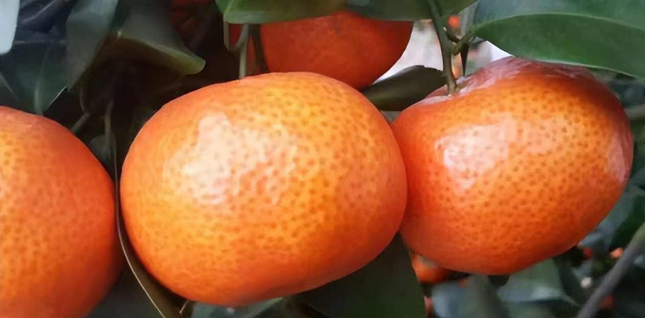 行业不景气怎么办,行业不景气如何创业