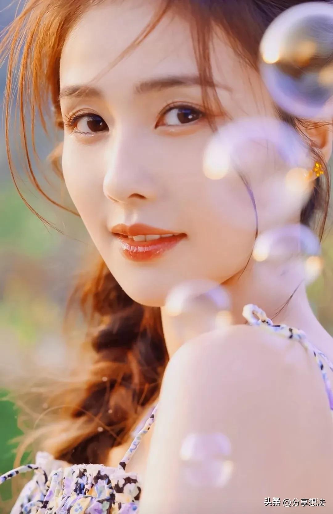 白鹿照片精美壁纸,白鹿电脑横屏壁纸