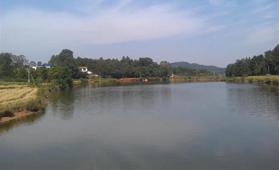 湖南宁乡道林镇,长沙市道林镇