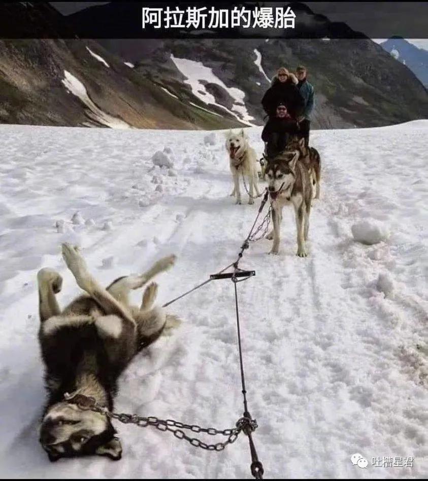 41万卡地亚后续,四十万买卡地亚被看不起