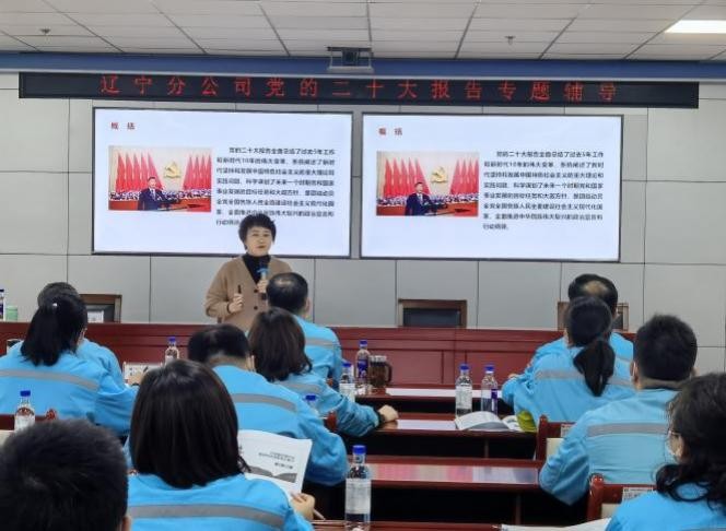 杨丽萍讲师,杨丽萍老师传承人