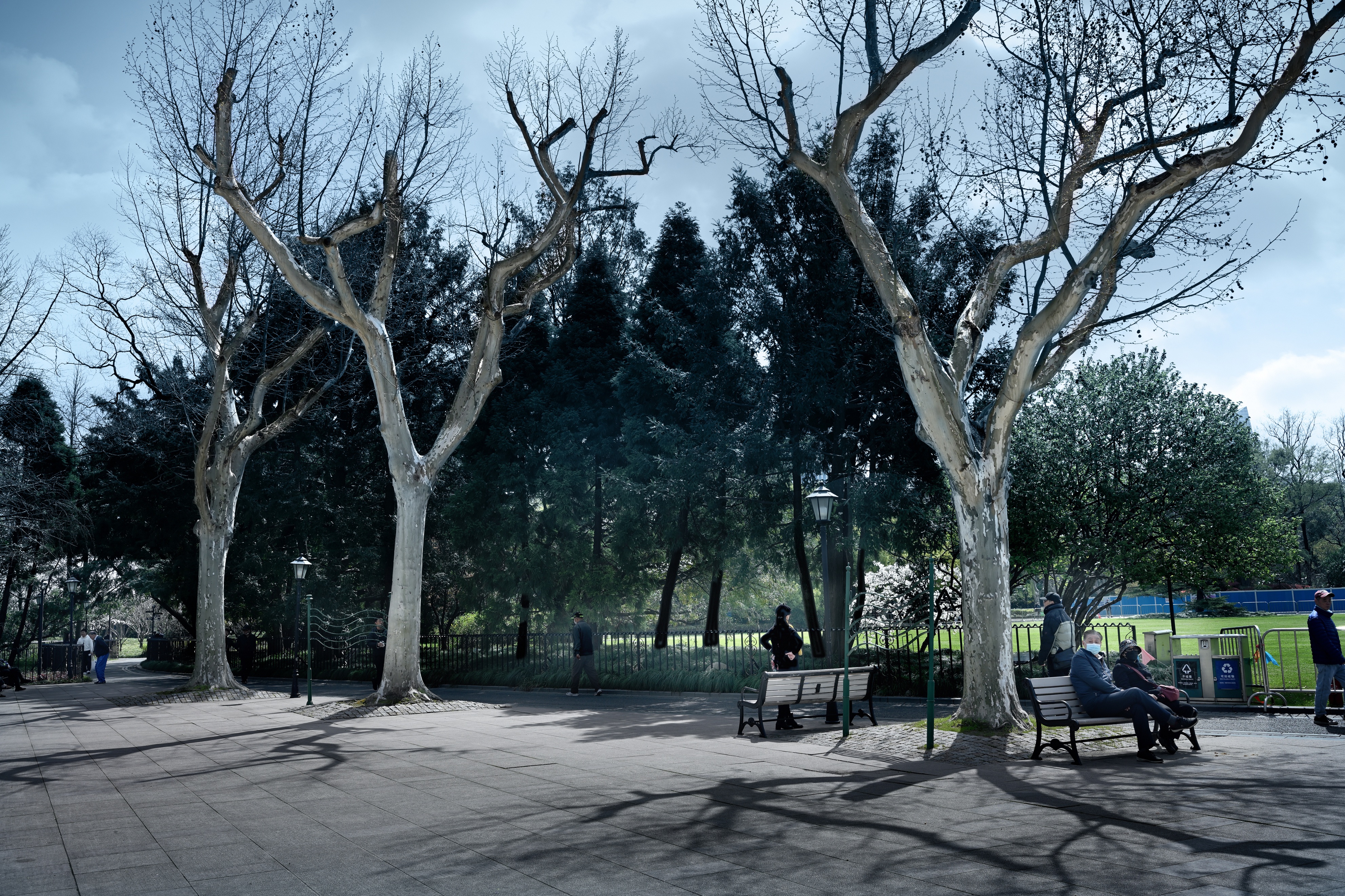 目前的上海中山公园,最新上海中山公园介绍