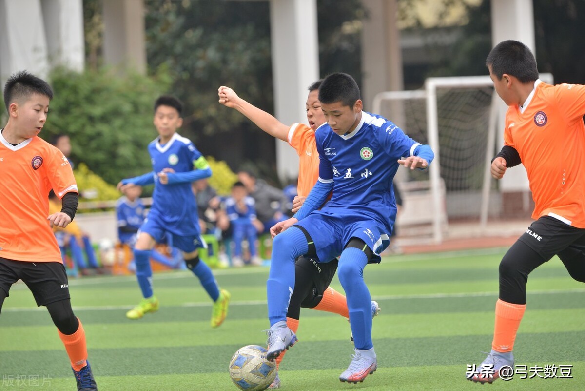 大学生对对中国足球表现的看法,清华教授谈中国足球