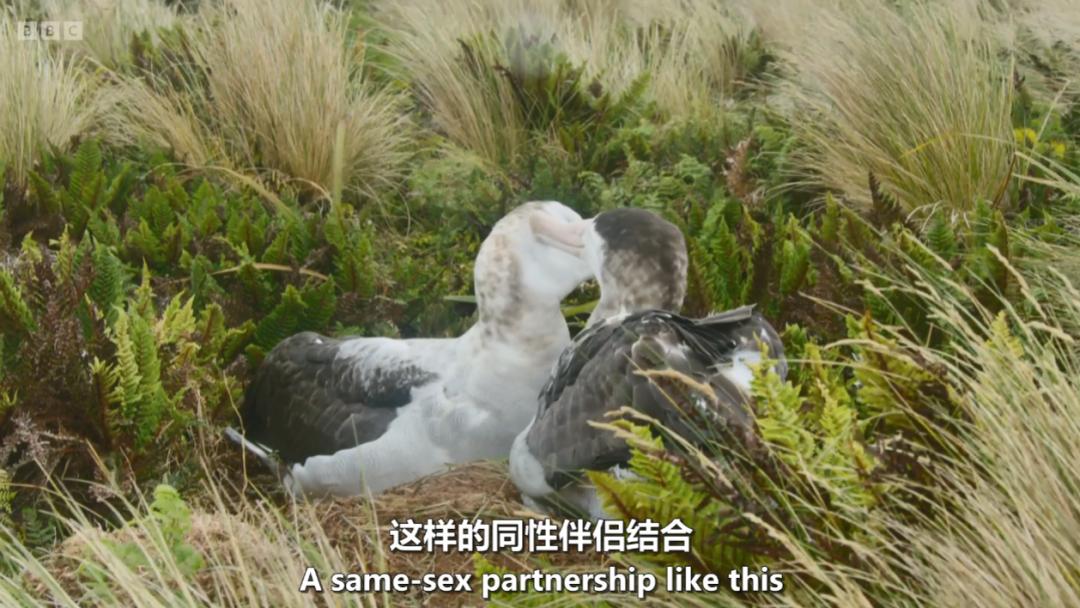 模范夫妻离婚了吗,再恩爱的夫妻最后都会离婚吗