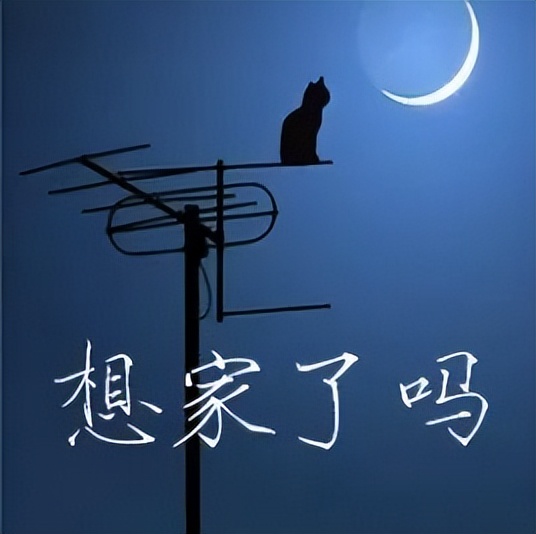 格鲁吉亚和挪威比分,格鲁吉亚vs挪威预测谁会赢