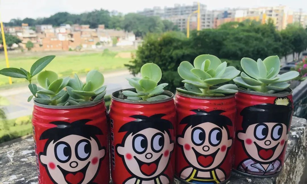 邻居扔垃圾屡教不改,邻居总是扔垃圾在花坛