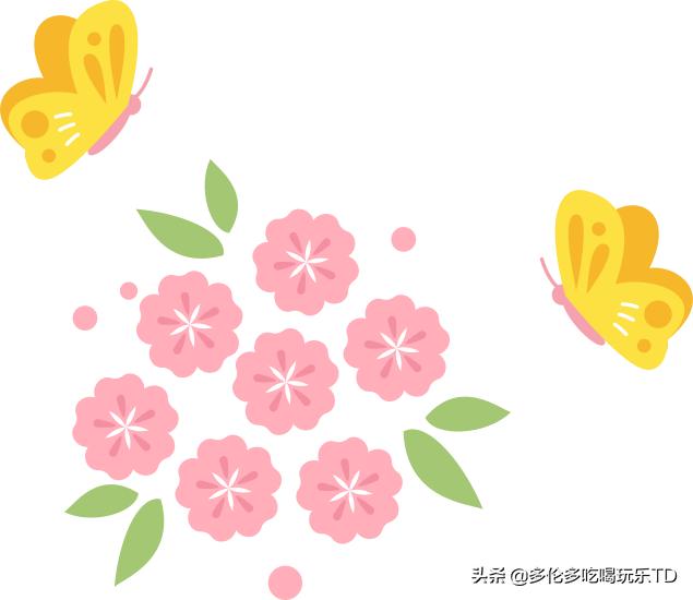 邂逅五彩斑斓的油菜花田,郁金香花田旅游攻略