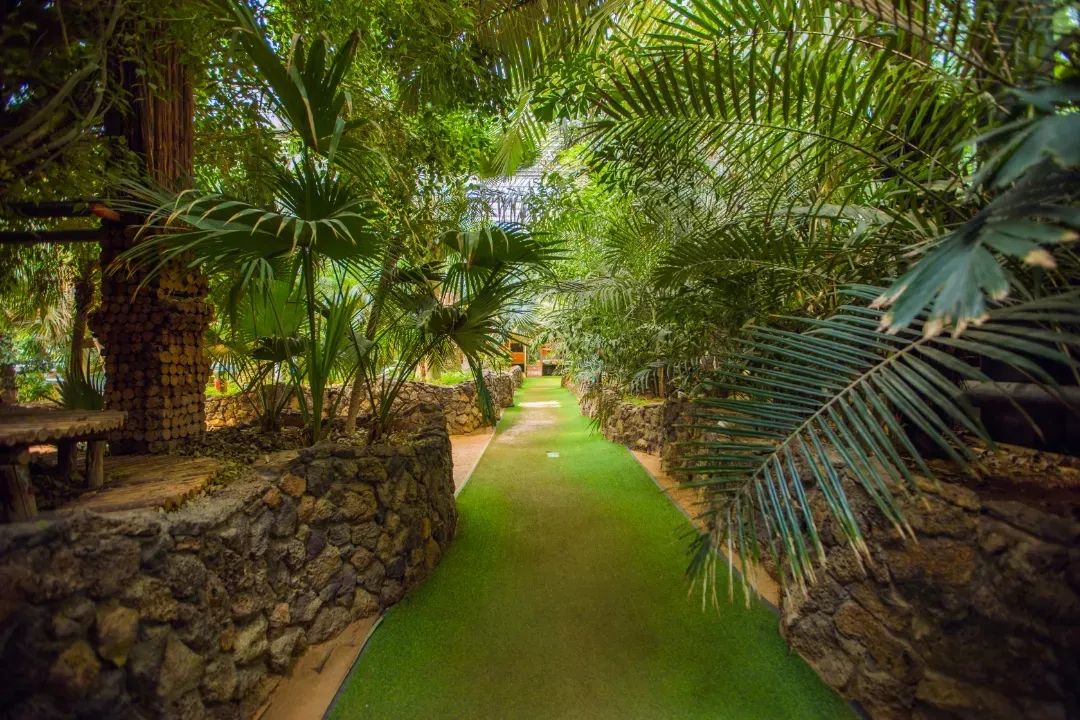 北京植物园的赏花的最好时节,西山秘境惊艳北京的植物