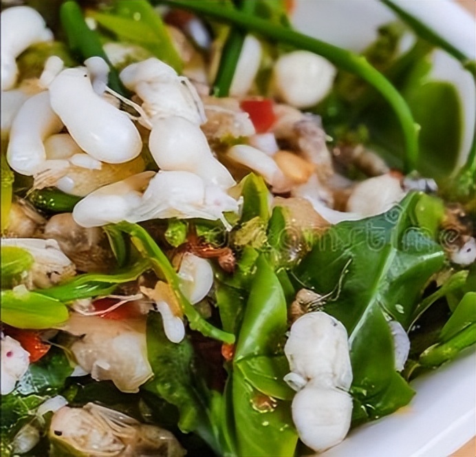 真正的丛林美食有哪些,硬核知识大全100个