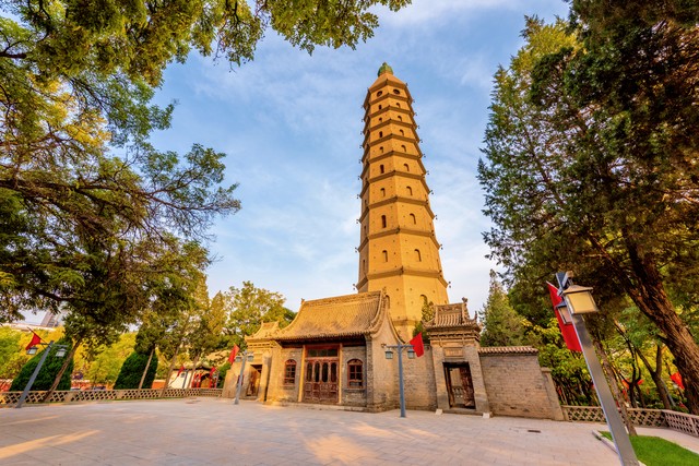 正宗宁夏红枸杞风景,宁夏红色枸杞