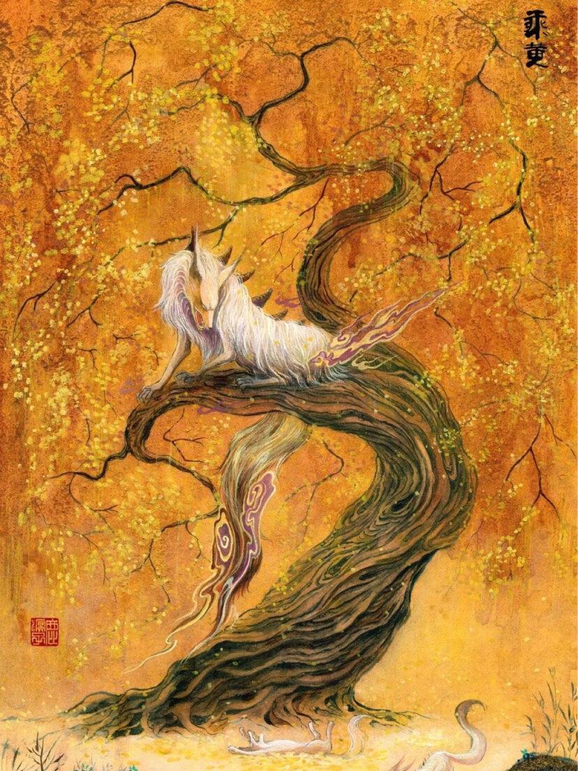 贵州女孩学医,贵阳女孩子学医