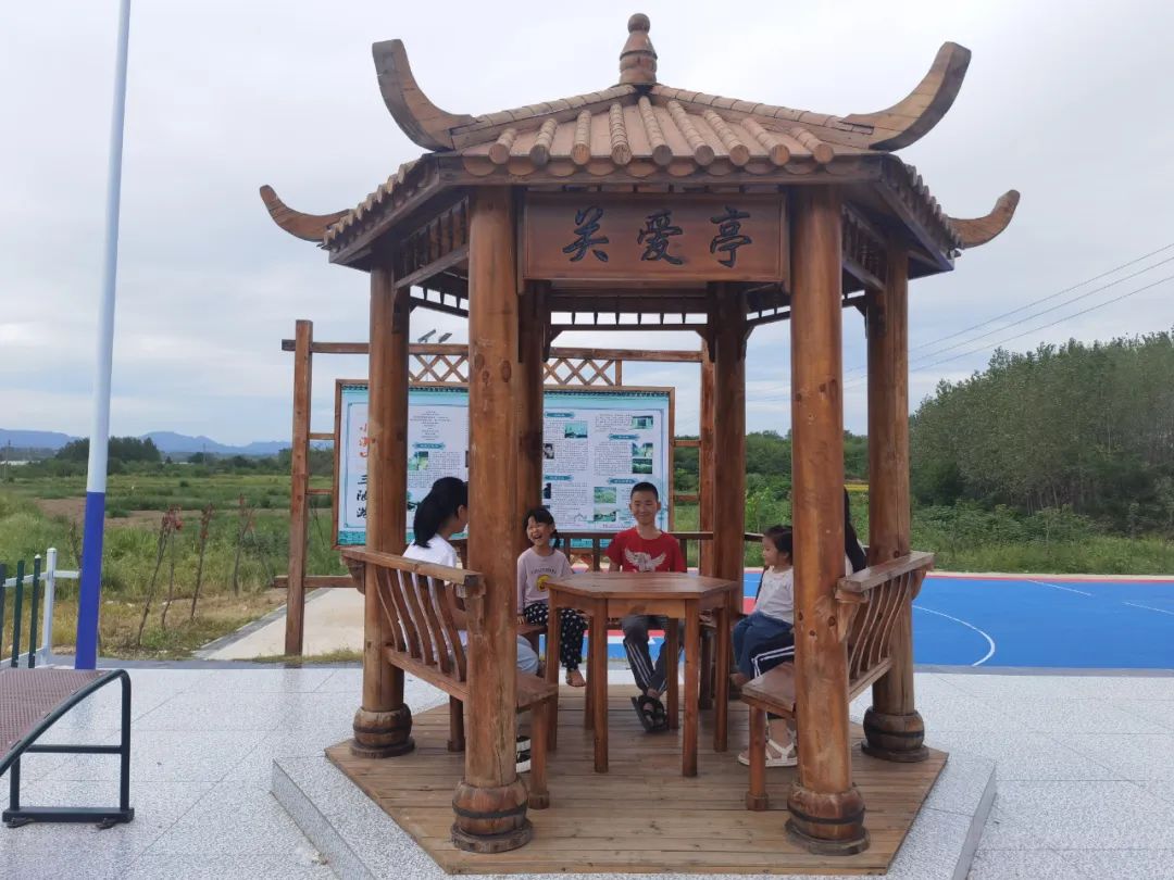 江西广昌：太空莲成“致富莲”,太空莲子种子