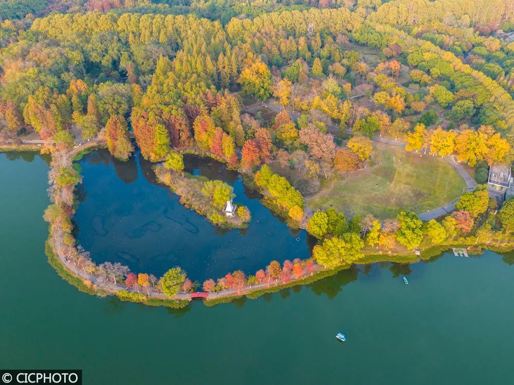 土疙瘩变成金豆豆，讲述甘肃脱贫故事影片《我心向上》定档11月22日【今日早报】