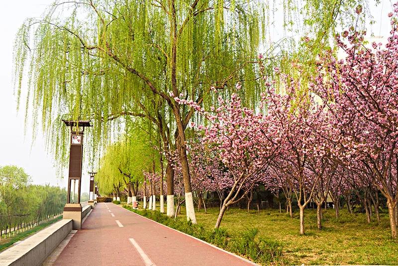 反目成仇的兄弟姐妹还需要化解吗,生活中总有一些兄弟姐妹反目成仇