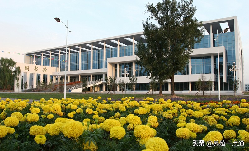 李清宏,李清宏教授