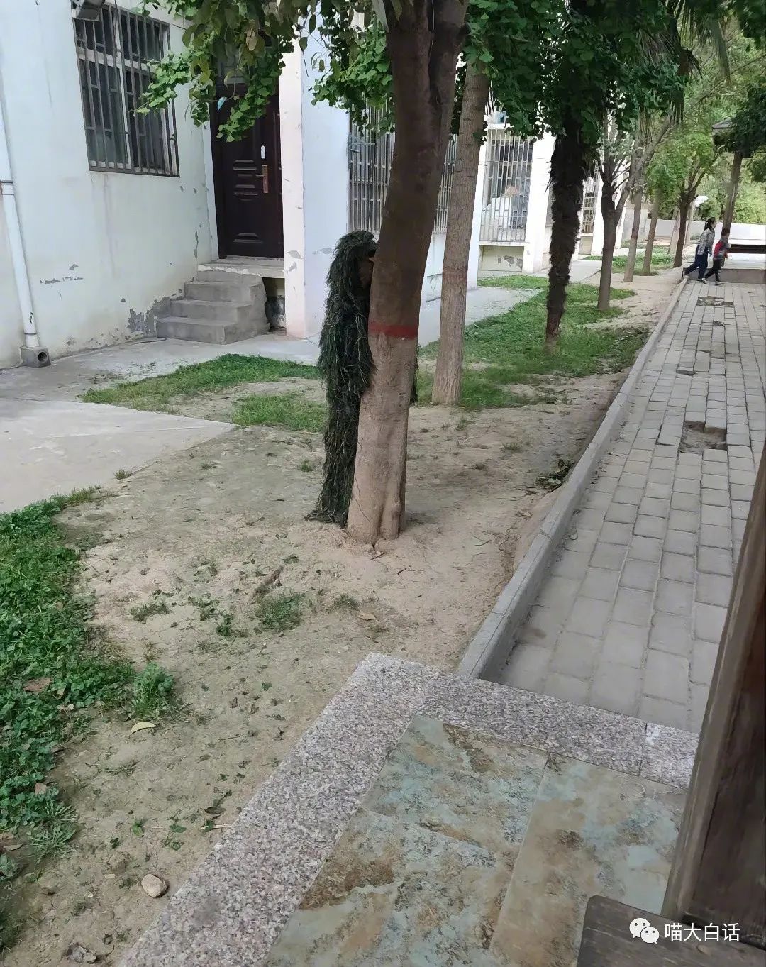 母亲节送妈妈什么礼物比较实用,母亲节送啥礼物给妈妈呢搞笑