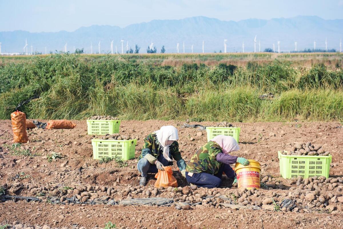 农村将迎大变化,农民在农村未来5年如何发展