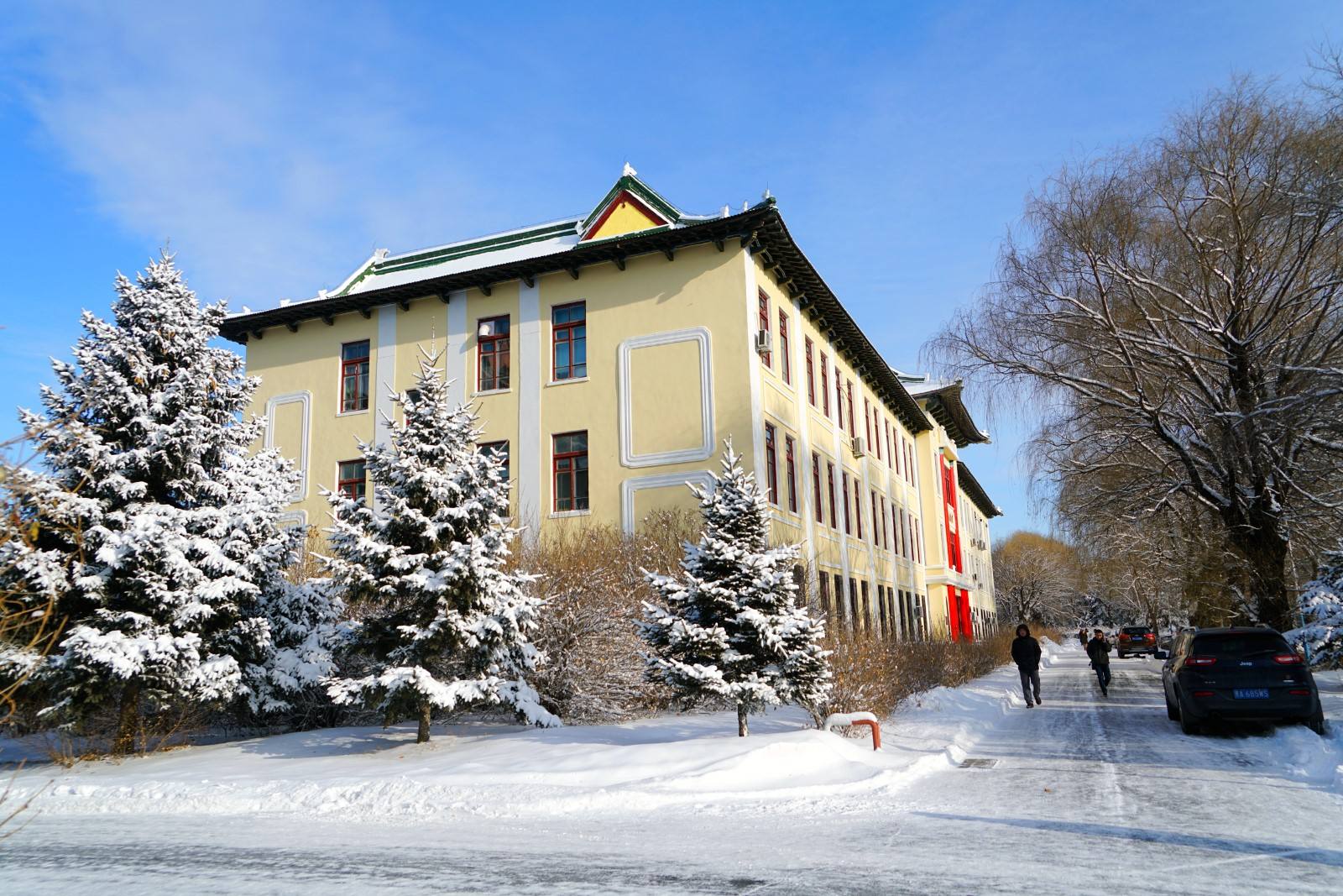 哈医大和黑龙江中医药大学实力强悍，但入选双一流竞争压力较大