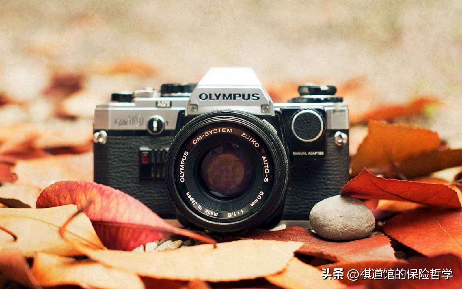 人寿保险工作价值,人寿保险能养老吗