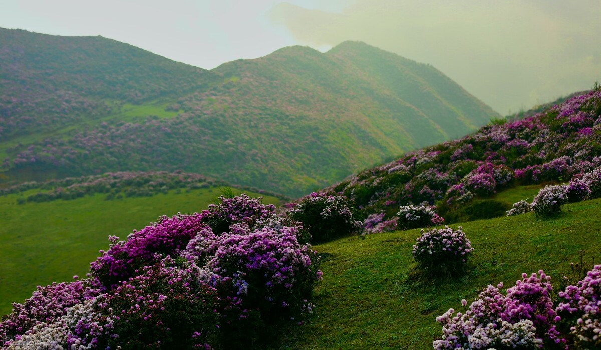 贵州旅行必去的地方排行榜,贵州旅游不能去的地方