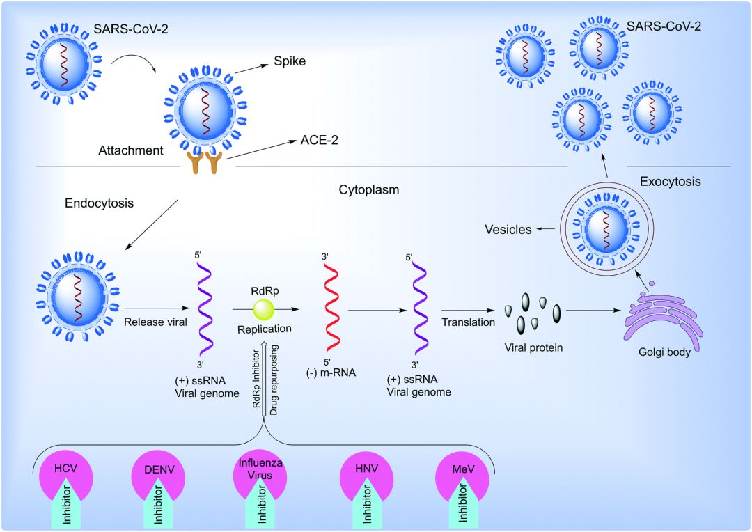 口服新冠药最新消息,多款新冠口服药公布最新进展