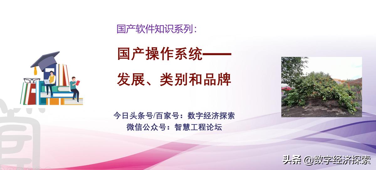 国产操作系统市场份额,国产操作系统目前的市场占有率