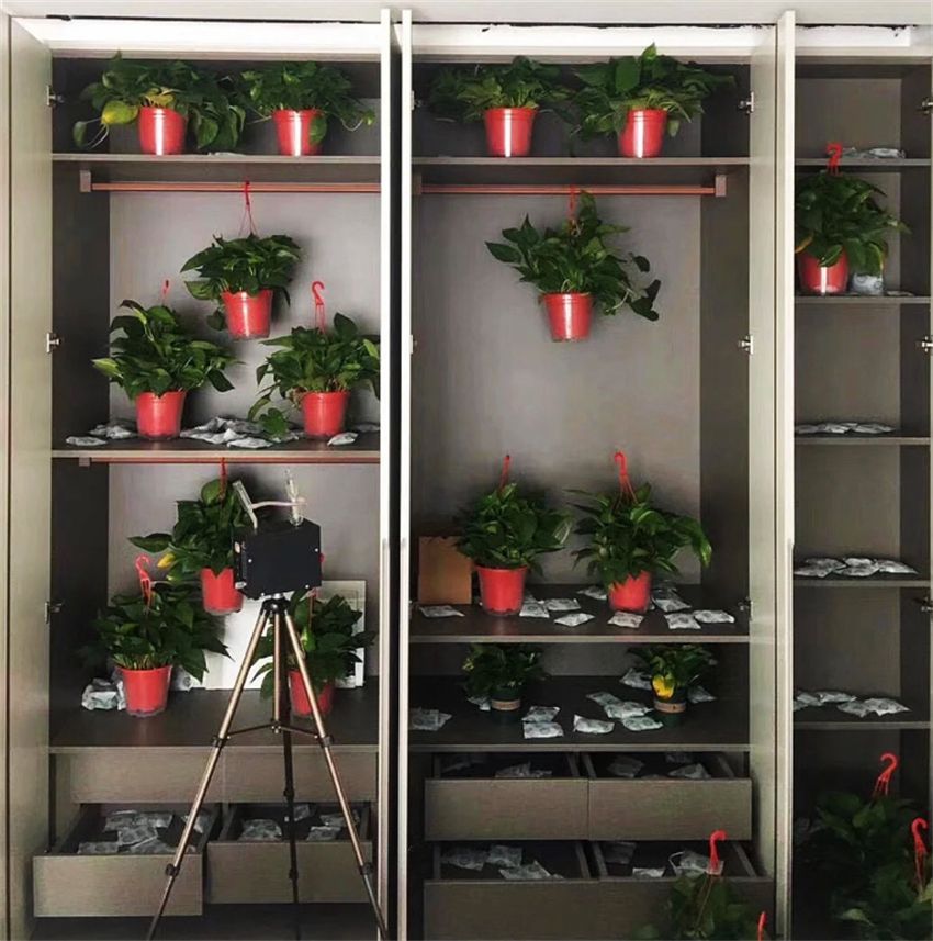 除甲醛最好最快的方法小妙招,除甲醛最好最快的方法小妙招央视