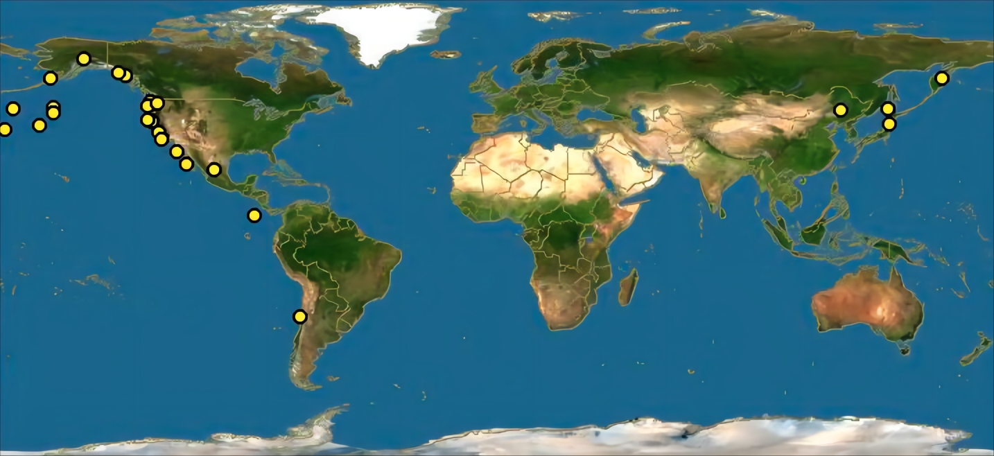 海豚繁殖能力如何,海豚怎样进行繁衍