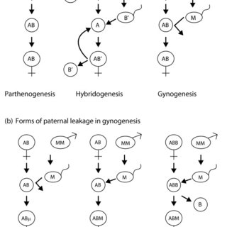 科学家都懵了！全员雌性、无生殖隔离，靠偷别人精子繁衍后代