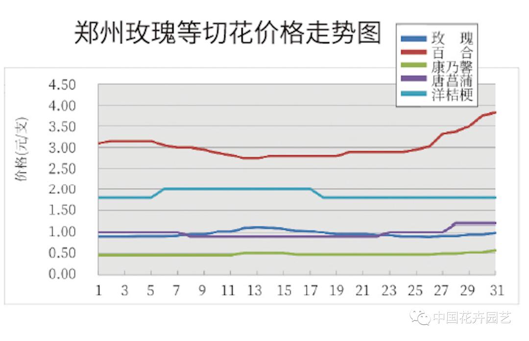 KIFA广州沈阳成都郑州昆明台北日本2022年12月切花|行情