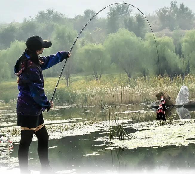 京东6.18户外露营装备大全,京东户外装备