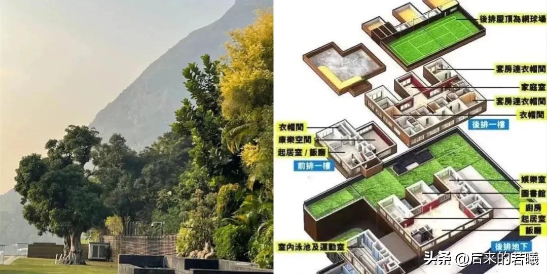 住4.3亿山顶豪宅，关之琳却衰老成这样