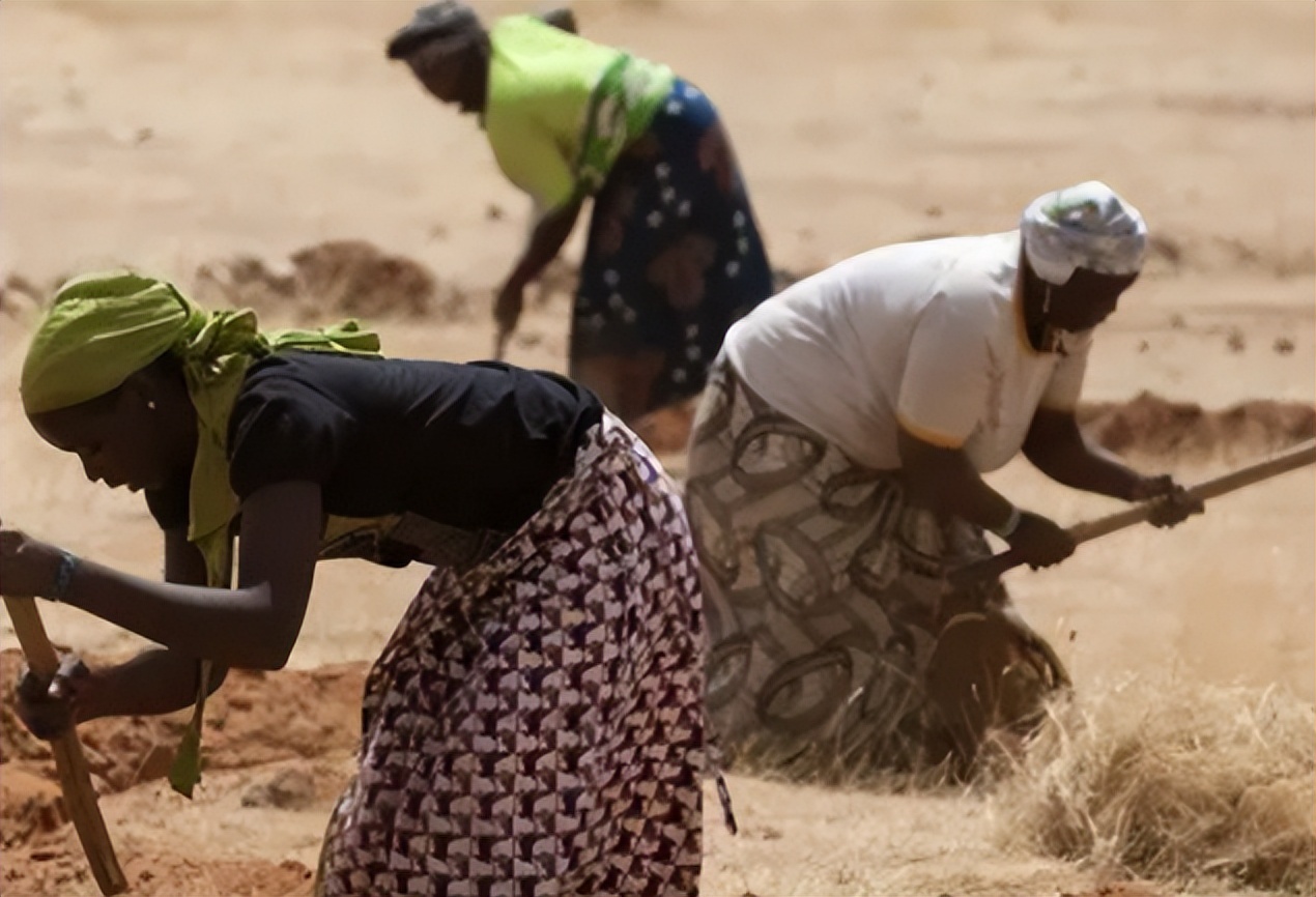 中国人在尼日尔如何生活,尼日尔是个怎样的国家