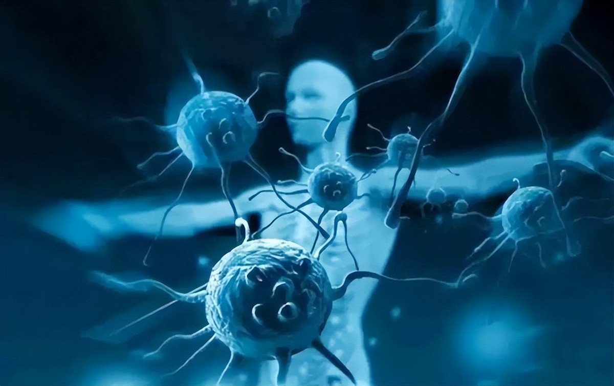 15岁白血病女孩的悲情心愿,4岁白血病女孩临死前说的话