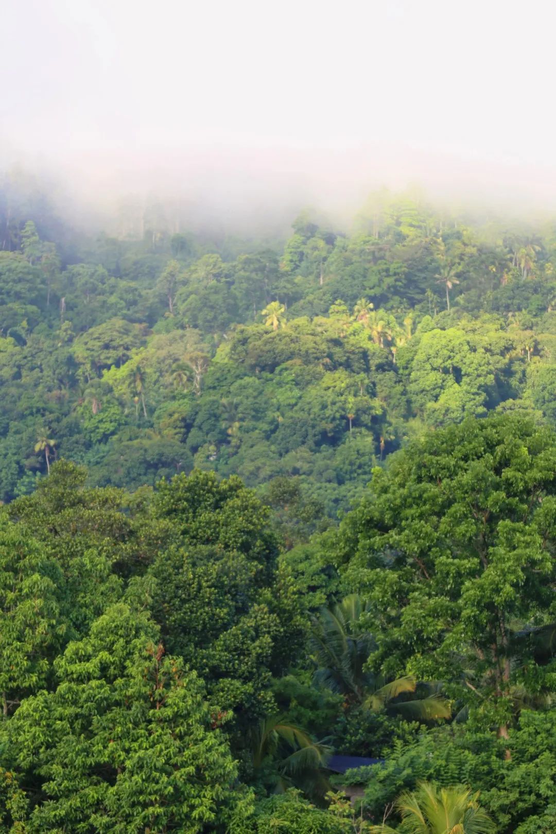 国庆3K起往返+极速电子签！去这个热带岛国度假也太香了吧