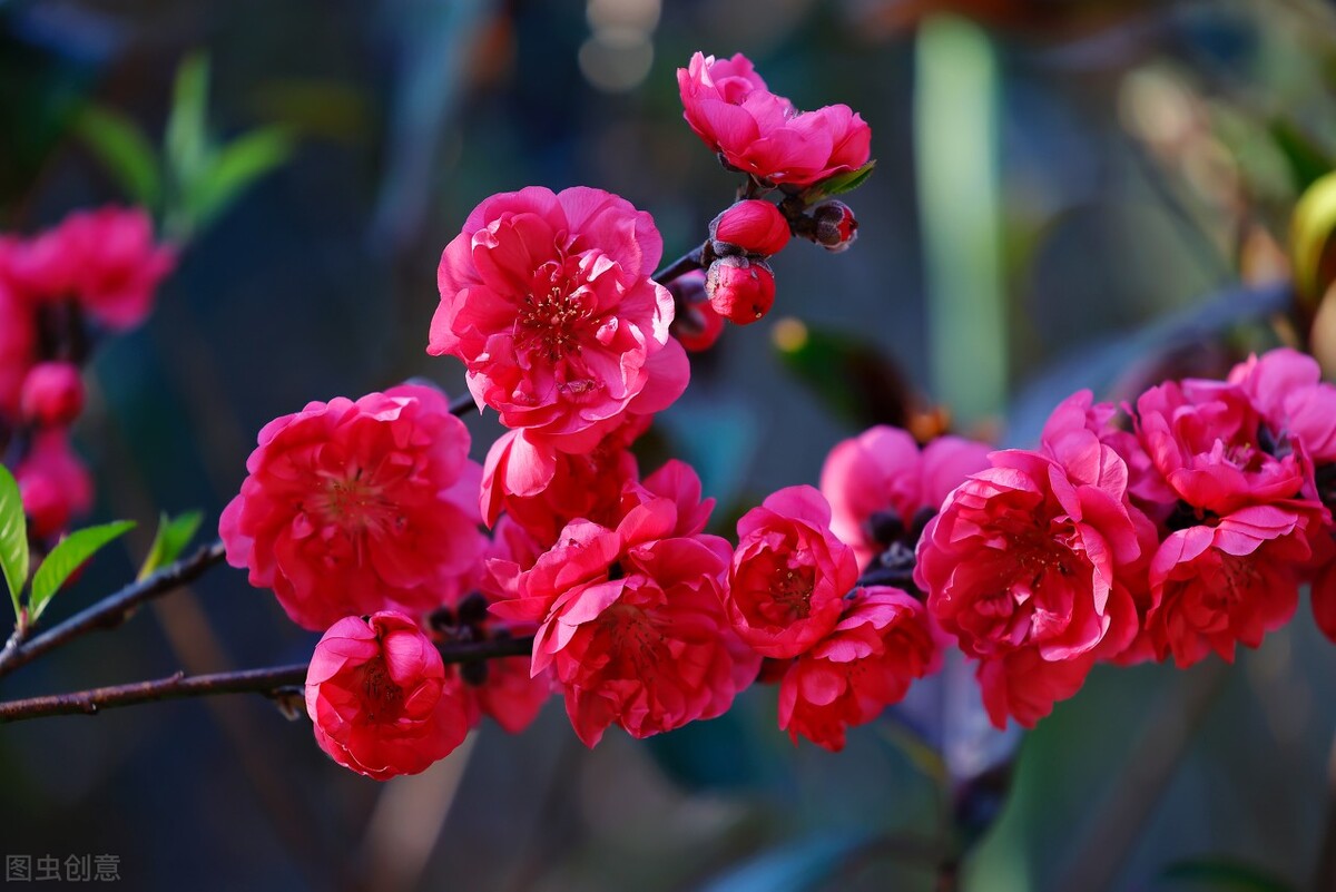 阴阳失衡，睡眠障碍怎么办？告诉你调理方法