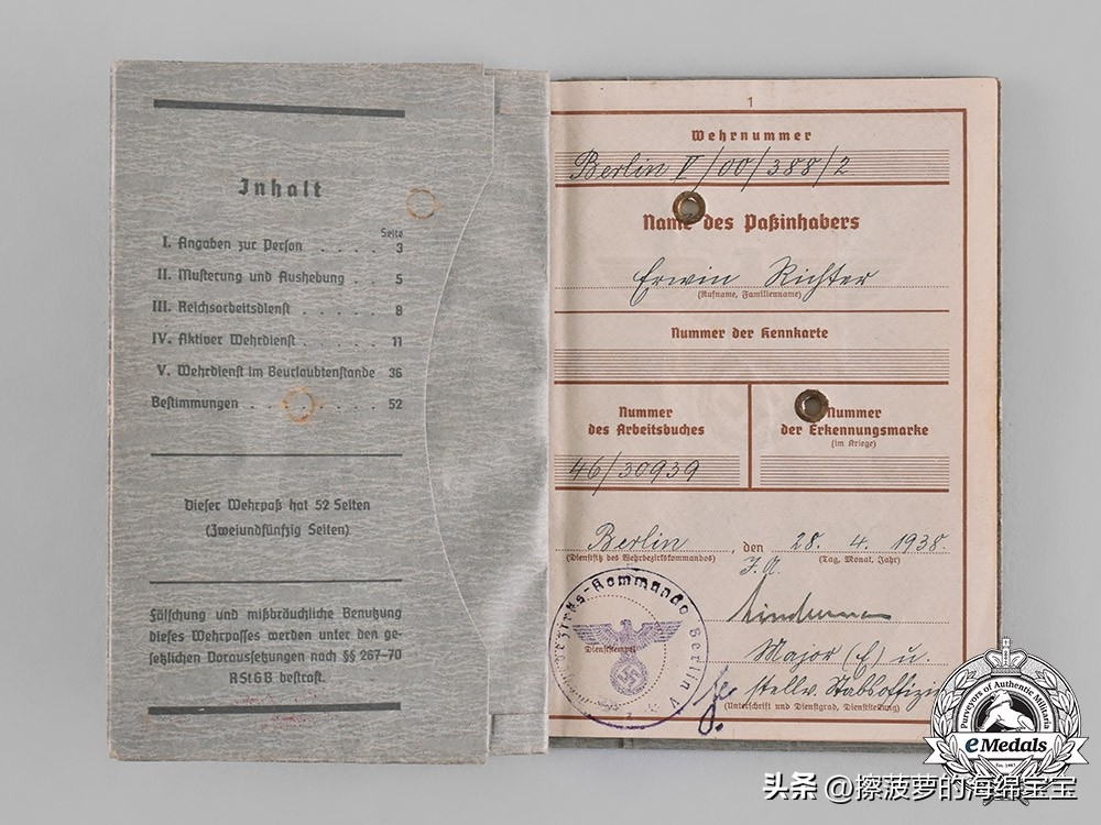 二战时德国军人的肩章,二战德国兵种领章